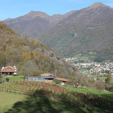 Вилла Agriturismo Il Mirtillo B,B Pasturo Экстерьер фото