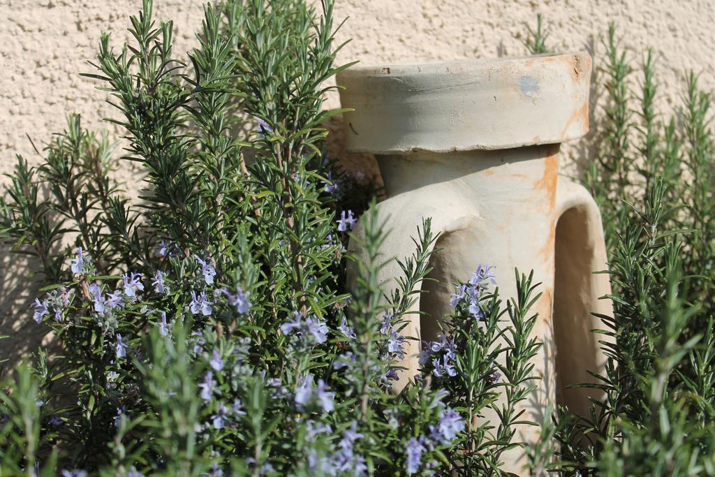 Вилла Agriturismo Il Mirtillo B,B Pasturo Экстерьер фото