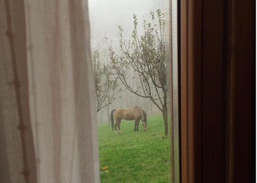 Вилла Agriturismo Il Mirtillo B,B Pasturo Экстерьер фото