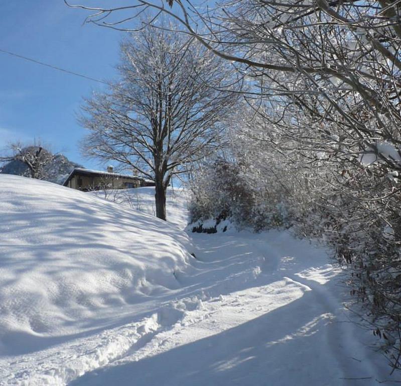 Вилла Agriturismo Il Mirtillo B,B Pasturo Экстерьер фото