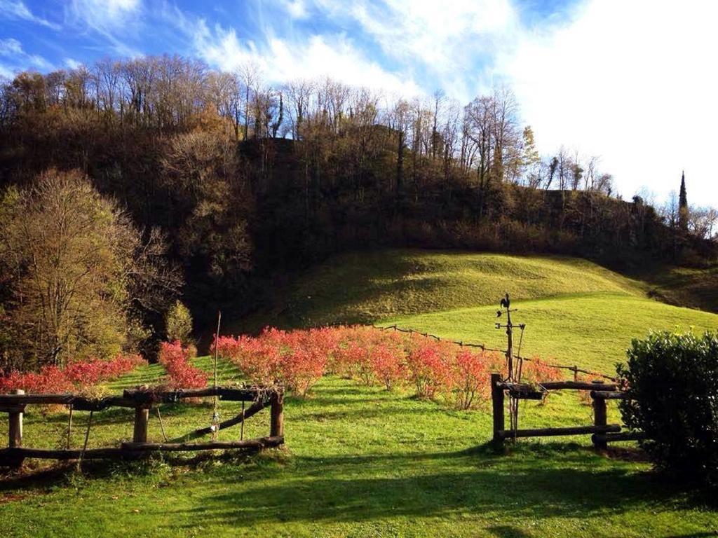 Вилла Agriturismo Il Mirtillo B,B Pasturo Экстерьер фото