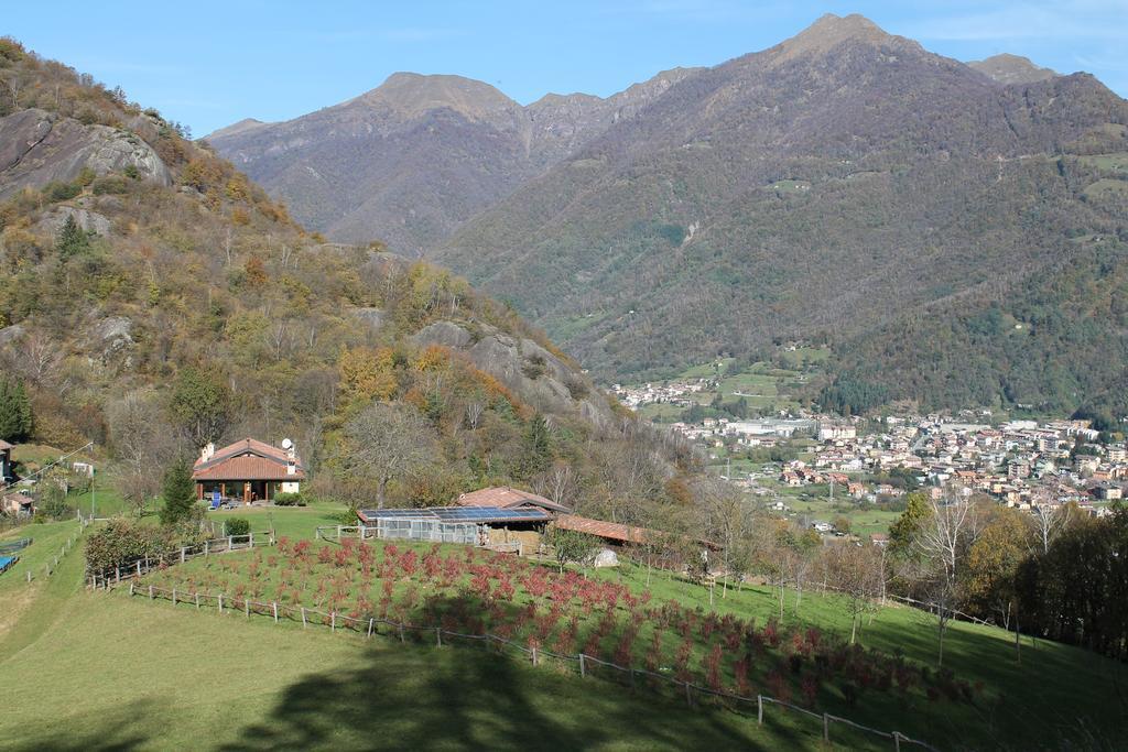 Вилла Agriturismo Il Mirtillo B,B Pasturo Экстерьер фото