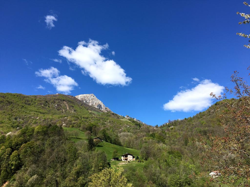 Вилла Agriturismo Il Mirtillo B,B Pasturo Экстерьер фото