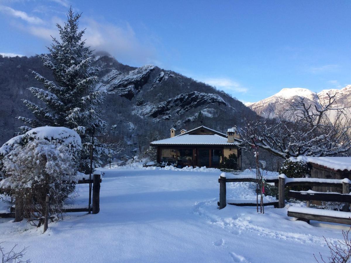 Вилла Agriturismo Il Mirtillo B,B Pasturo Экстерьер фото